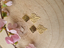 Picture of Bee