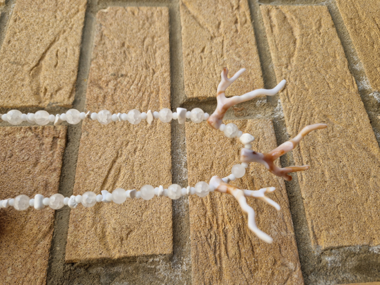 Picture of Coral White
