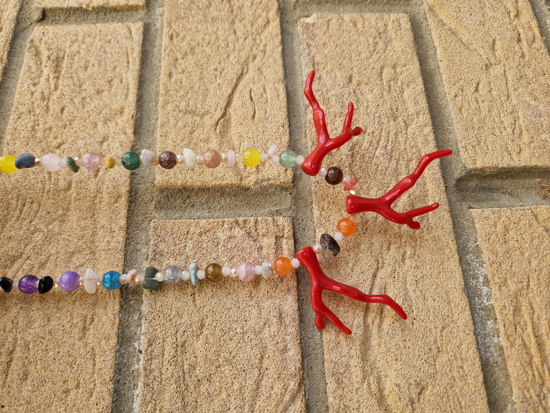 Picture of Coral Red