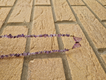 Picture of Butterfly