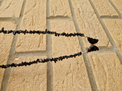 Picture of Butterfly