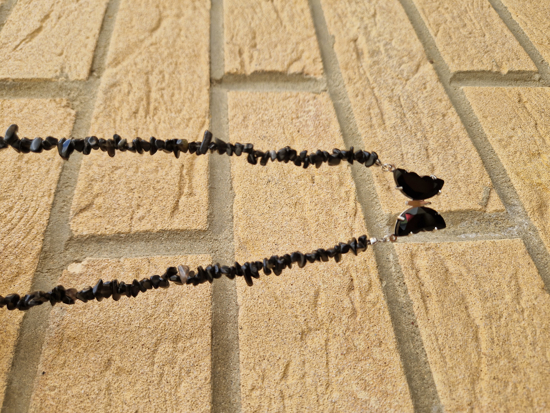 Picture of Butterfly
