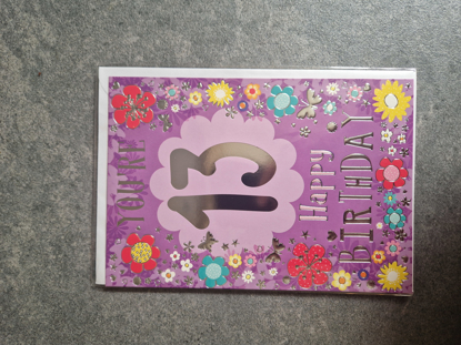 Picture of 13