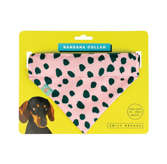 Picture of Bandana Collar